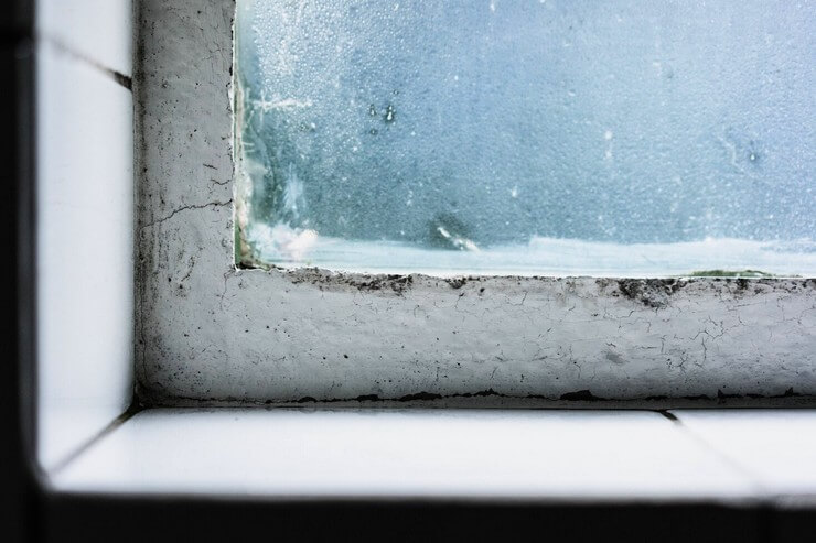 Vieille fenêtre avec condensation et apparition de moisissures